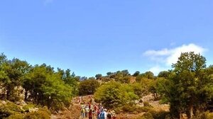 Μαλεβίζι: "Πράσινο φως" στη δημοπράτηση για την κατασκευή μονοπατιών πεζοπορίας