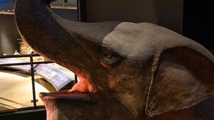 Podcast: Το Δεινοθήριο και η Μικρή Εξερευνήτρια από τη Σητεία