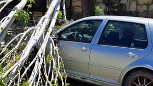 Από καθαρή τύχη δεν είχαμε θύματα από πτώση δέντρου!