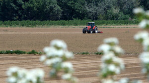 Αναβάλλεται η εφαρμογή του Ψηφιακού δελτίου αποστολής 