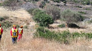 "Μεγάλη δασική πυρκαγιά στη Χερσόνησο": άσκηση ετοιμότητας των φορέων - Δείτε βίντεο και φωτογραφίες