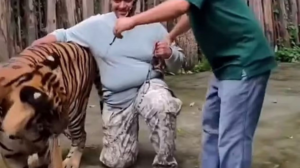 Ταϊλάνδη: Τίγρης επιτέθηκε σε τουρίστα την ώρα που έβγαζε selfie μαζί της – Βίντεο