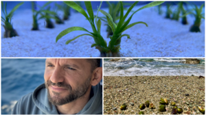 Πάτε παραλία; Τον νου σας για καρπούς Ποσειδωνίας!