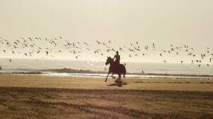 Γενικά αίθριος καιρός την Τετάρτη (21/5) στην Κρήτη