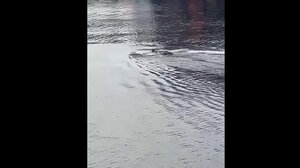 Τραγωδία στην Ινδονησία: Κρόκόδειλος κατασπάραξε 13χρονο που έσκυψε να πιάσει την μπάλα του από το ποτάμι