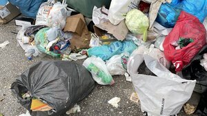 "Επικίνδυνη η κατάσταση με τα σκουπίδια, το ηλεκτρονικό αίτημα για την καμένη λάμπα είναι ακόμα σε … εξέλιξη!" 