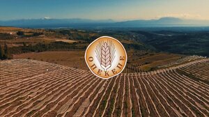 Έρευνα στον ΟΠΕΚΕΠΕ και από την Αρχή για το ξέπλυμα μαύρου χρήματος