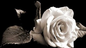 Συλλυπητήρια από το Πανεπιστήμιο Κρήτης για το θάνατο του 17χρονου Γιώργου