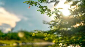 Το φως της ημέρας ενισχύει το ανοσοποιητικό σύστημα