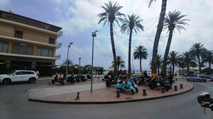 Απαντά ο Δήμος Σητείας για τις φυτεύσεις δέντρων: Αυθαίρετες ενέργειες και φαινόμενα "έτσιθελισμού" δε γίνονται αποδεκτά!