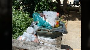 Φιλοζωία και καθαριότητα στο κέντρο του Ηρακλείου