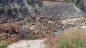 Ανεξέλεγκτη χωματερή στο πάρκο του Ευκάλυπτου – Βρέθηκαν πεταμένες σύριγγες!