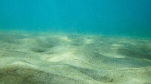 Καλαμάτα: Βρέθηκε οβίδα στο βυθό του λιμανιού