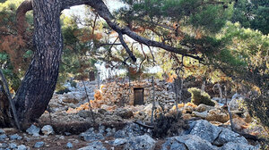 Aπογευματινή πεζοπορία στο δάσος του Κρούστα