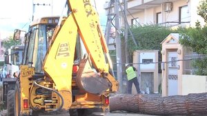 Δέντρο έπεσε σε αυτοκίνητο στην Κηφισιά