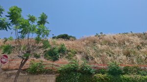 «Ζούγκλα» τα Ενετικά Τείχη - Ξερά χόρτα και παραμέληση κυριαρχούν στο τοπίο (video)