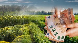 Και μετά το σκάνδαλο του ΟΠΕΚΕΠΕ;