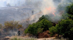 Ανεξέλεγκτη η φωτιά στη Λακωνία - Εκκενώνονται τα χωριά Καραβοστάσι και Πλύτρα