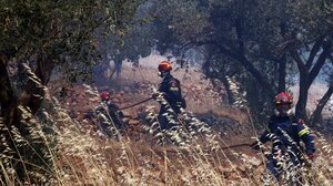 Πυρκαγιές στη Χίο: Σε κατάσταση έκτακτης ανάγκης το νησί για έναν μήνα