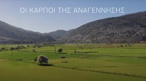  Οι καρποί της αναγέννησης από το Metaxa Hospitality Group (video)