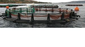 Χανιά: Έκλεψαν ψάρια από ιχθυοκλωβό του ΕΛΚΕΘΕ, κατέστρεψαν και τον εξοπλισμό της μονάδας!