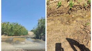 "Νερό δεν έχουμε... και νερό χάνεται!"