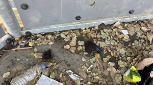 Εστία μόλυνσης παραμένει το πάρκο δίπλα στο πολυκατάστημα