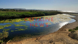 Νεκρά ψάρια και χελώνες στον ποταμό, δίπλα οι τουρίστες κολυμπούν!