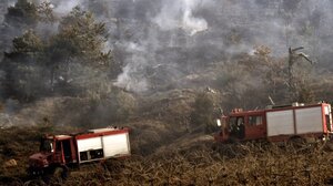 Πυρκαγιά στον Ωρωπό: Κοντά στο Ασπροχώρι οι φλόγες - Καίγεται παρθένο πευκοδάσος