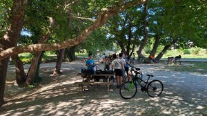 Ασφαλείς μετακινήσεις, οικολογική συνείδηση και προστασία του περιβάλλοντος… από τις μικρές ηλικίες!