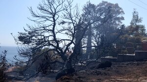 Βίντεο - ντοκουμέντο: Πώς άρχισε η φωτιά στο Κορωπί