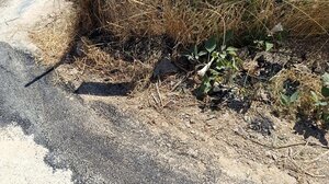 Τα έργα τοποθέτησης οπτικών ινών και το... μετά