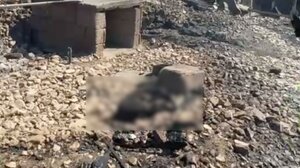 Ιεράπετρα: Έτρεξαν να σωθούν αλλά άφησαν πίσω τα κατοικίδιά τους… Δείτε βίντεο