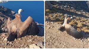 O "Αστερούσιος" ανέβηκε στον Άγιο Νικήτα, αλλά δεν ήταν ακόμη έτοιμος να πετάξει