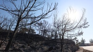 Στήριξη στους σεισμόπληκτους της Ιεράπετρας ζητάει ο Μ.Συντυχάκης