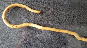 Χτυπούσε την πρώην του με μαγκούρα στην πλατεία του χωριού!