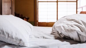 Θόρυβος από τρωκτικά σε ξενοδοχείο της Κρήτης - Αποζημίωση για Γερμανούς τουρίστες