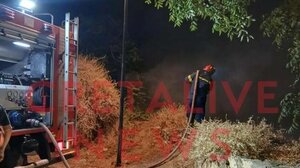 Σε δύσβατο σημείο περιορίστηκε η πυρκαγιά στο Μαρτινέγκο!