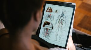 🧠 Κουίζ: Πόσο καλά γνωρίζεις το ανθρώπινο σώμα; - part 1