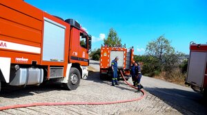 Αμαλιάδα: «Οριοθετήθηκε το πιο επικίνδυνο μέτωπο της φωτιάς στην περιοχή Γεράκι»