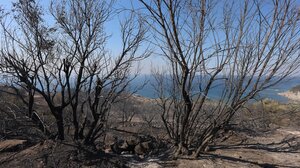 Λασίθι: Ακύρωση συναυλίας στο Βραχάσι λόγω του πύρινου ολέθρου στην Ιεράπετρα