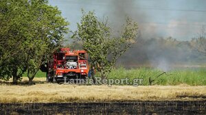 Συναγερμός για πυρκαγιά στη νότια Λαμία - Σηκώθηκαν τα PZL