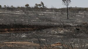 Καταστροφικές πυρκαγιές σάρωσαν Κύθηρα, Χανιά, Εύβοια, Μεσσηνία και Αττική - Πάνω από 55.000 στρέμματα καμένης γης 