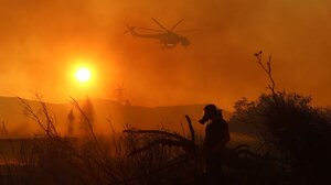 Μία σύλληψη για την πύρινη κόλαση στα Τεμένια - Πώς ξεκίνησε η καταστροφή!