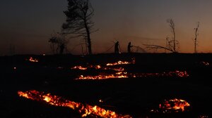 Πυρκαγιές και πρόστιμα: Σοβαρές κυρώσεις για παραβάσεις στην ύπαιθρο