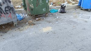 Καθαριότητα, αδέσποτα και κατοικίδια vs ατομική υπευθυνότητα