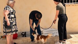 Επιτυχημένη η δράση με τις στειρώσεις ζώων συντροφιάς στον Δήμο Μαλεβιζίου