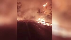 Φωτιά στη Θάσο: Εκτός ελέγχου το πύρινο μέτωπο