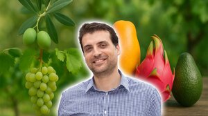 Από την ελιά στο ... μάνγκο; Ο πρωτογενής τομέας της Κρήτης στην εποχή της Κλιματικής Αλλαγής