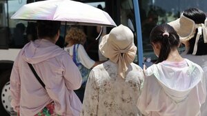 Νοέμβρης όπως... Μάιος! Σε Κρήτη και Στερεά Ελλάδα οι υψηλότερες θερμοκρασίες της ημέρας